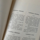 Wasa 1909 vakuutuskirja - pikkukuva 5