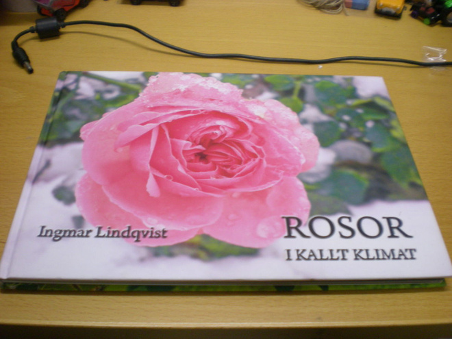 Ingmar Lindqvist: Rosor i kallt klimat