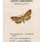 Ikivanha Pelikortti NIITTY-YÖKKÖNEN - pikkukuva 1