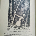 Lukemisia lapsille IV nide - kuvitus Rudolf Koivu - pikkukuva 3