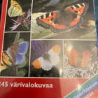 PERHOSET - 245 värivalokuvaa - pikkukuva 1