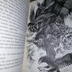Astrid Lindgren - Ronja Räubertochter - 1.painos - pikkukuva 4