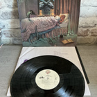 DIO: DREAM Evil Lp levy - pikkukuva 2