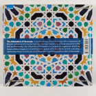 Daniel R. Caruncho : Alhambra of Granada : The Art of Arc... - pikkukuva 2