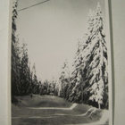 VANHA Postikortti Kuopio 1950-l  Alkup.Mallikappale - pikkukuva 1