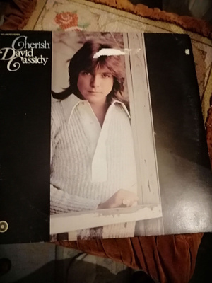 David Cassidy