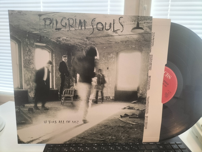 PILGRIM SOULS, Is this all of us, LP UK -89 UPEA KUNTO !!