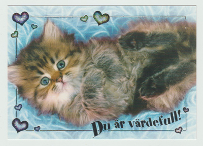 "Du är värdefull" , Kisuli (R)