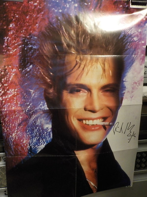 BILLY IDOL - IDOL SONGS POSTERI ITSE MESTARIN NIMMARILLA