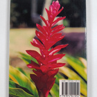 Adrian Skerrett ym. : The Beautiful Plants of Seychelles - pikkukuva 2