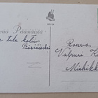 Pikkupelle ohjastaa kukkoa, p. 1954 - pikkukuva 2