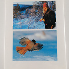 Hannu Hautala : Winter on the Finnish taiga - pikkukuva 2