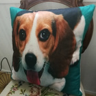 Beagle tyynynpäällinen - pikkukuva 2