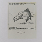Trout And Salmon vuosikerta 1976 - pikkukuva 3