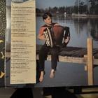 TAITO VAINIO-KULTAINEN HARMONIKKA16 hanurimusiikin helmeä-LP - pikkukuva 2