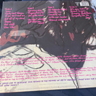 The Rolling Stones: Love You Live 2LP 1977 - pikkukuva 2