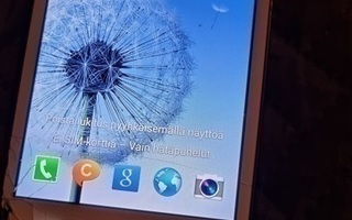 Samsung Galaxy S3