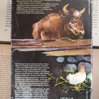 James Herriot - Luojanluomat ystäväni (sid.) - pikkukuva 2
