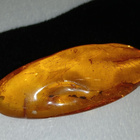 Iso Vintage meripihka baltic Amber riipus kaulakoru - pikkukuva 2