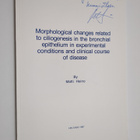 Matti Heino : Morphological changes related to ciliogenes... - pikkukuva 1