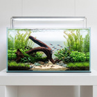 Uniikki akvaariojuurakko 53 cm | S2142622 - pikkukuva 2