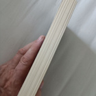 Conn Iggulden Keisari rooman portit - pikkukuva 3