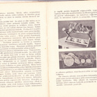 TALOUSAPULAISEN TYÖOPAS KIRJA v.1926 - pikkukuva 3