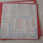 Bikini Kill LP USA 1996 Reject All American - pikkukuva 4