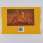 Glynne Newlands : South Africa : A Visual Souvenir - pikkukuva 2