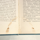 Árpád Berczik : HAUSKOJA HETKIÄ (1902, suom. Antti Jalava) - pikkukuva 5