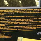 Sara Heinämaa - Esa Saarinen : Olennainen nainen - WSOY 1.p - pikkukuva 2