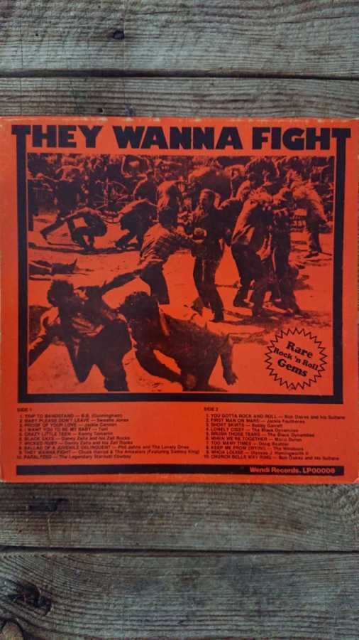 Wendi Records - They Wanna Fight LP