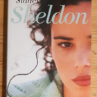 Sidney Sheldon - Kun taivas putoaa - pikkukuva 1
