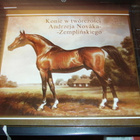 HORSE IN THE WORK OF ANDRZEJA NOVAKA ( 1 p. 1987 Puola ) - pikkukuva 1