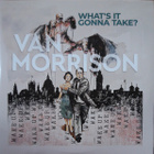 VAN MORRISON - WHATS IT GONNA TAKE 2LP - pikkukuva 1