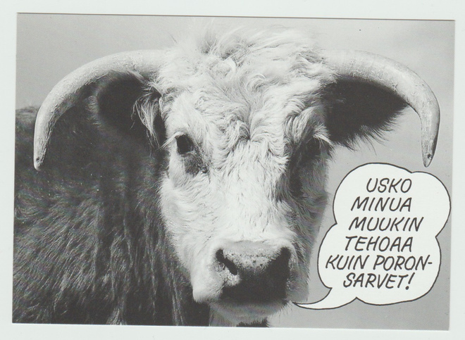 **  Usko minua , muukin tehoaa kuin poronsarvet