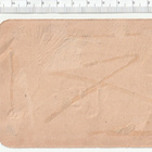 ~ upea tiikeri-nelkku, 12 x 8 cm ~ - pikkukuva 2