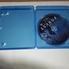 The Forest - NORDIC Region ABC Blu-Ray (Universal) - pikkukuva 2