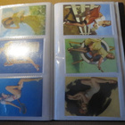 Business card holder - 81 erilaista pin-up kuvaa - pikkukuva 3