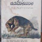 J. S. Fletcher: Markenmoren salaisuus. 294 s. - pikkukuva 1