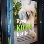 Romppainen : Hyvä koira kotiin ( 2010 ) sis. postikulun - pikkukuva 2
