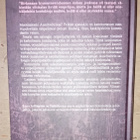 Auschwitzin ompelijattaret - pikkukuva 2