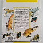 Jill Bailey : The illustrated encyclopedia of predators - pikkukuva 2