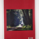 Ikonimaalari 2/2004 : Teemana Karjala - pikkukuva 2