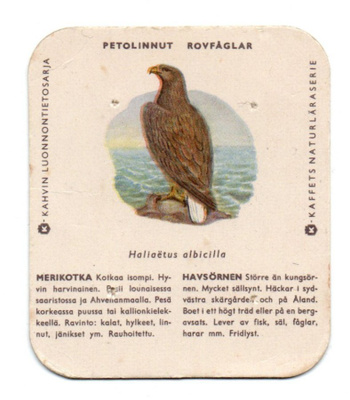 Kahvilappu MERIKOTKA