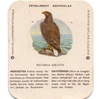 Kahvilappu MERIKOTKA - pikkukuva 1