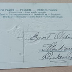 Kasviporttööriin änkeää myös ötököitä, onnittelupk, 1894 - pikkukuva 2