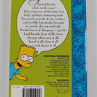 Matt Groening : Bart Simpson's Guide to Life - pikkukuva 2