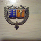Hopeinen maakunta merkki - pikkukuva 1
