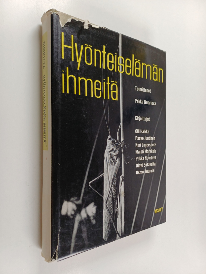 Pekka (toim.) Nuorteva : Hyönteiselämän ihmeitä